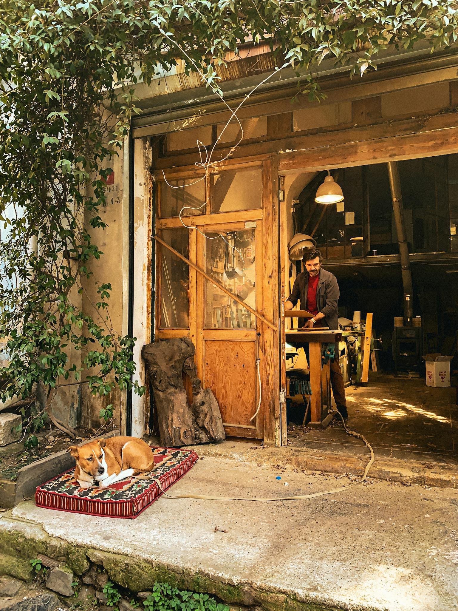 A craftsman working inside a rustic workshop while a dog relaxes outside on a sunny day.