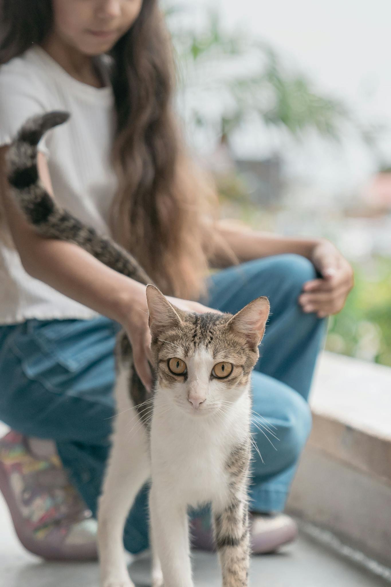 A young girl petting a cat on a sunny balcony in the Maldives.